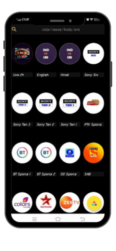 <span>Live TV Channels</span>